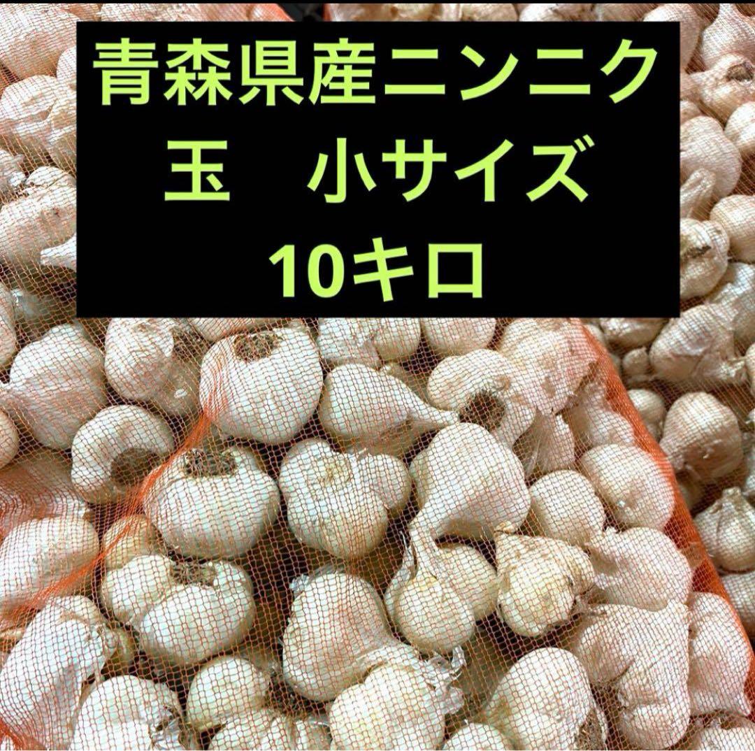 青森県産ニンニク 小サイズ 10キロ