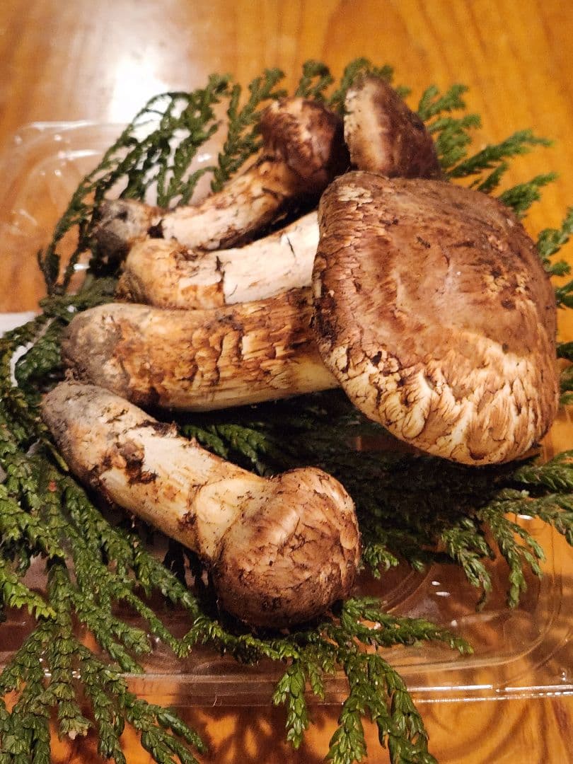 北海道産松茸　282g