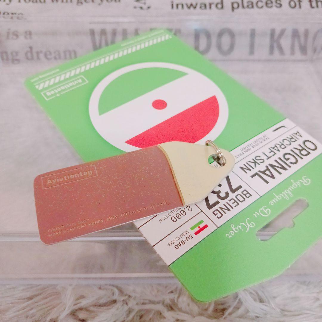 ☆ニジェール政府機☆ Boeing 737 実機外板 Aviationtag