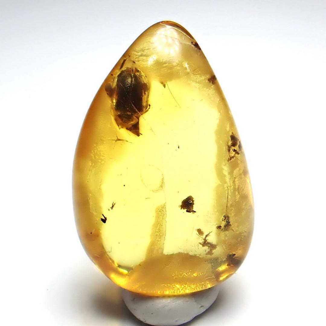 【バルト海産】虫入りコハク(虫入りアンバー)