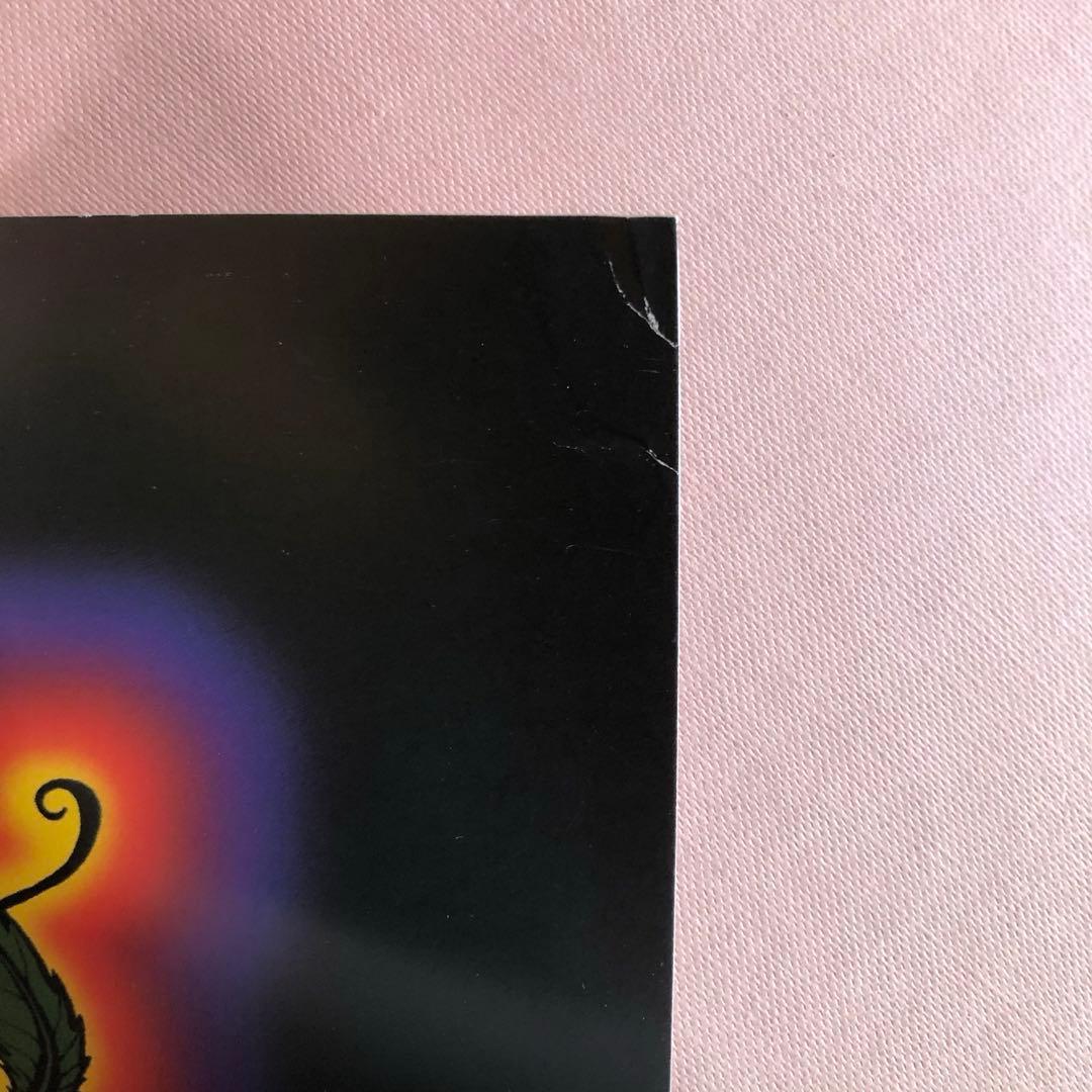 Alex gray 直筆サイン入りポスター