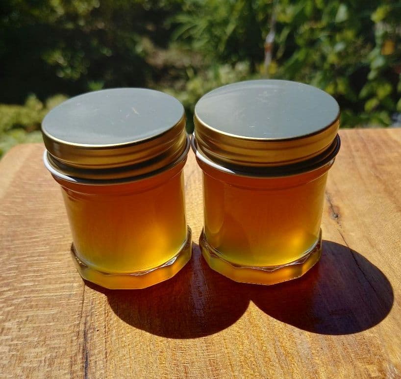 日本ミツバチ濃厚蜂蜜（秋蜜、600g✕2）