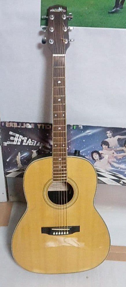 ☆Maxwin、エレアコ、フェンダーアンプ、ピック