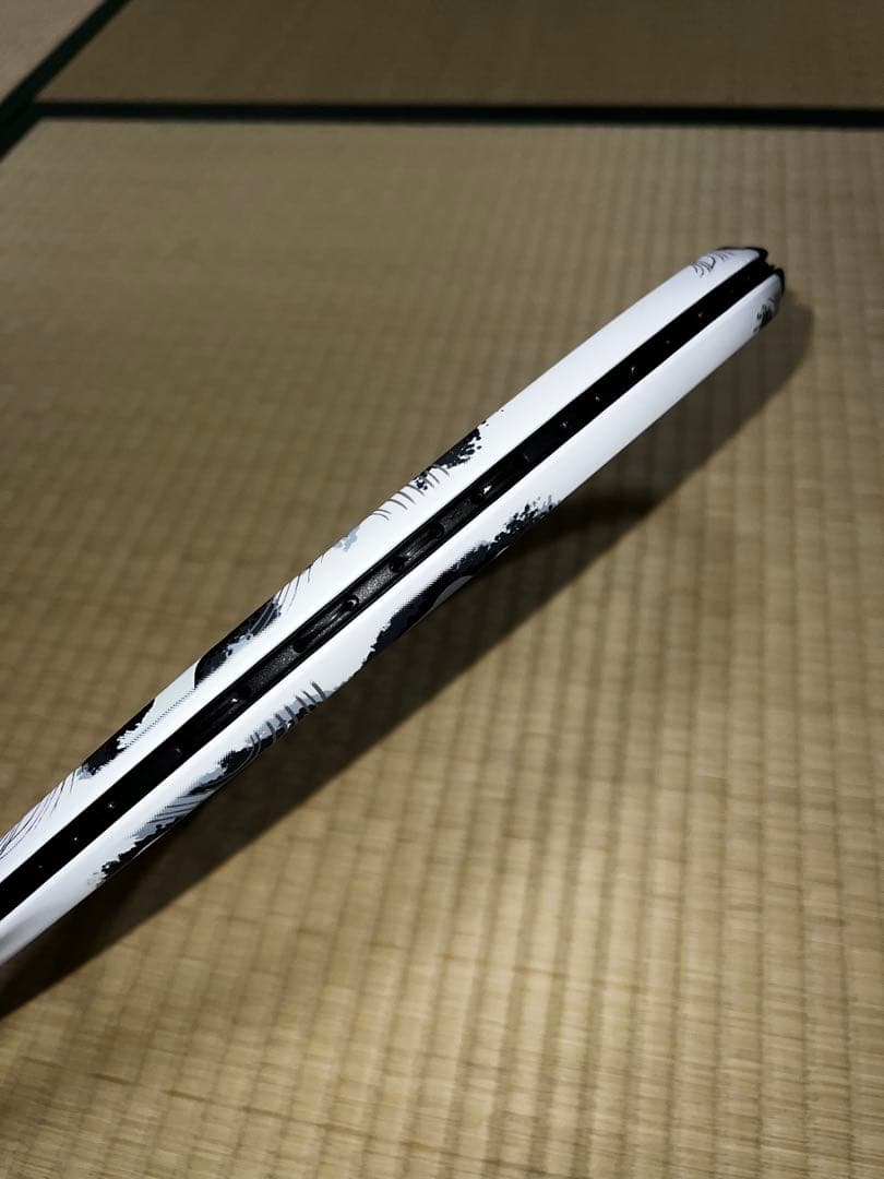 ジオブレイク80V ヨネックス　ポリアクションプロ