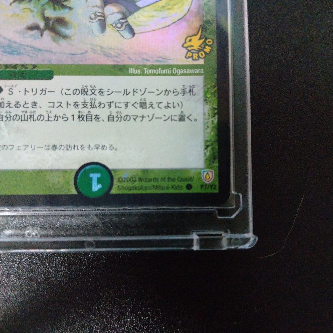 フェアリー・ライフ　初期プロモ　ホイル