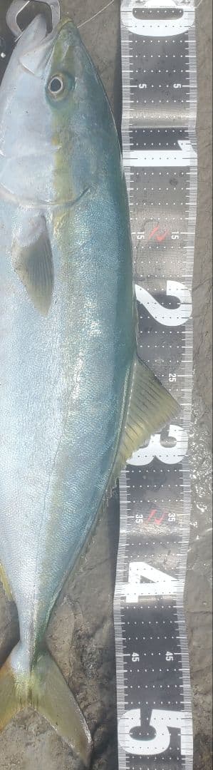 ジャンプライズ ララペン165F 150F 125F 3個セットJUMPRIZE