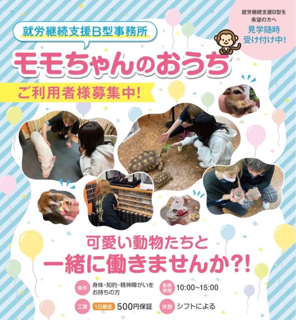 冷凍ラット30g〜40g 40匹セット！