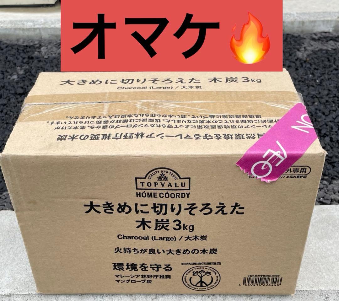 オマケつき！VISION PEAKS Hexa Terp Crow タープ