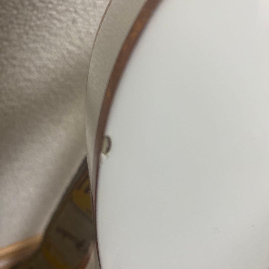 ギター Fender SCANDAL HARUNA TELECASTER