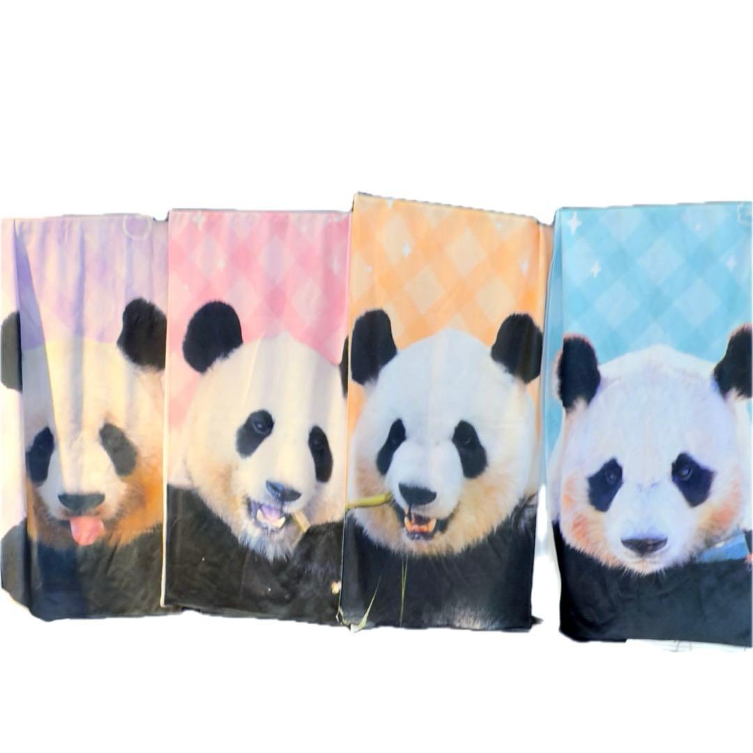 アドベンチャーワールド　パンダファミリーのクールタオル