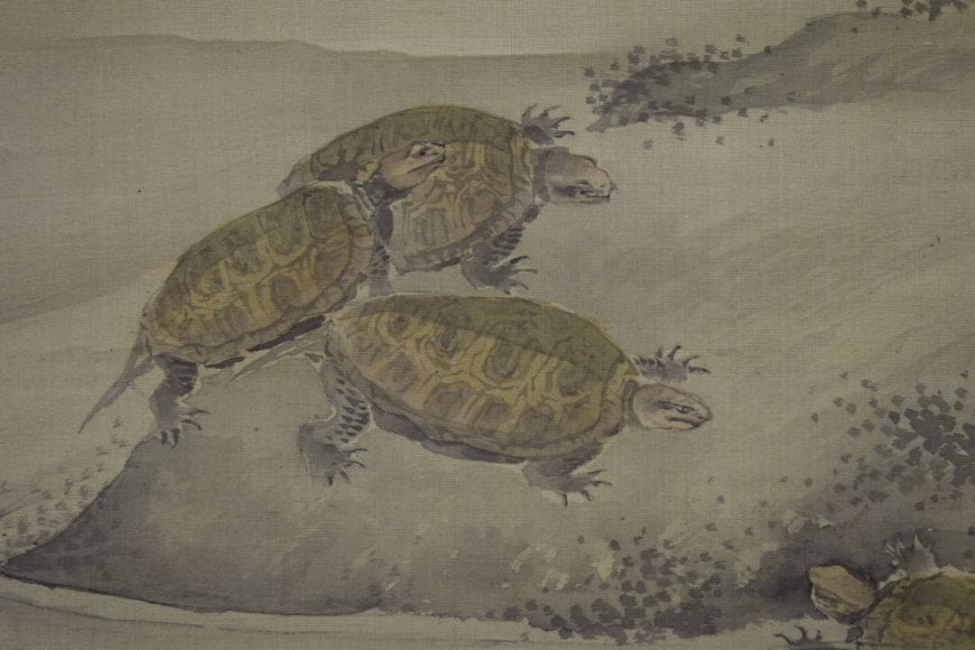 真作/大西圭斎/松群鶴亀図/布袋屋掛軸HE-810