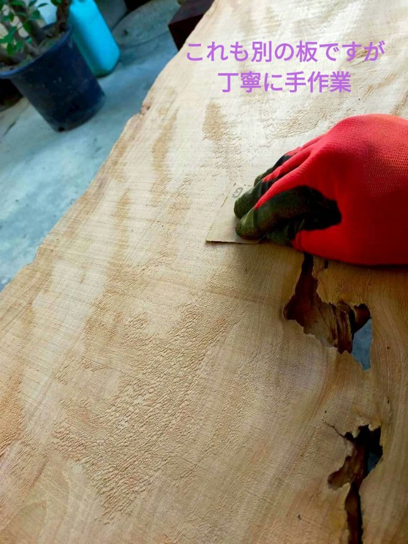 無垢一枚板（鹿児島杉）／天板／研磨＋ニス塗り済／軽量約４kg／テーブル／DIY