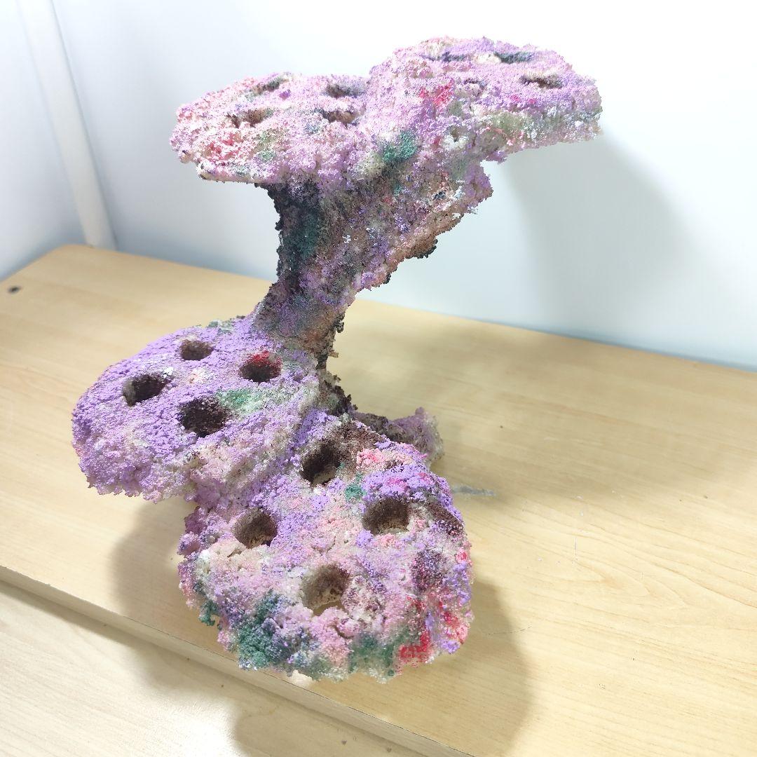 プラグ穴付き アク抜き不要人工ライブロック 海水水槽 レプリカ コーラルフラグ3