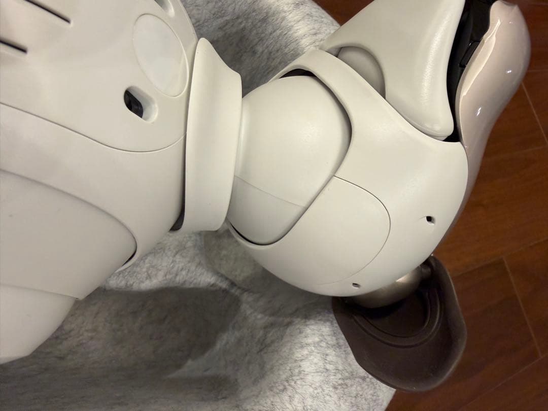 SONY aibo 本体 アイボリーホワイト ERS-1000 アイボソニー美品