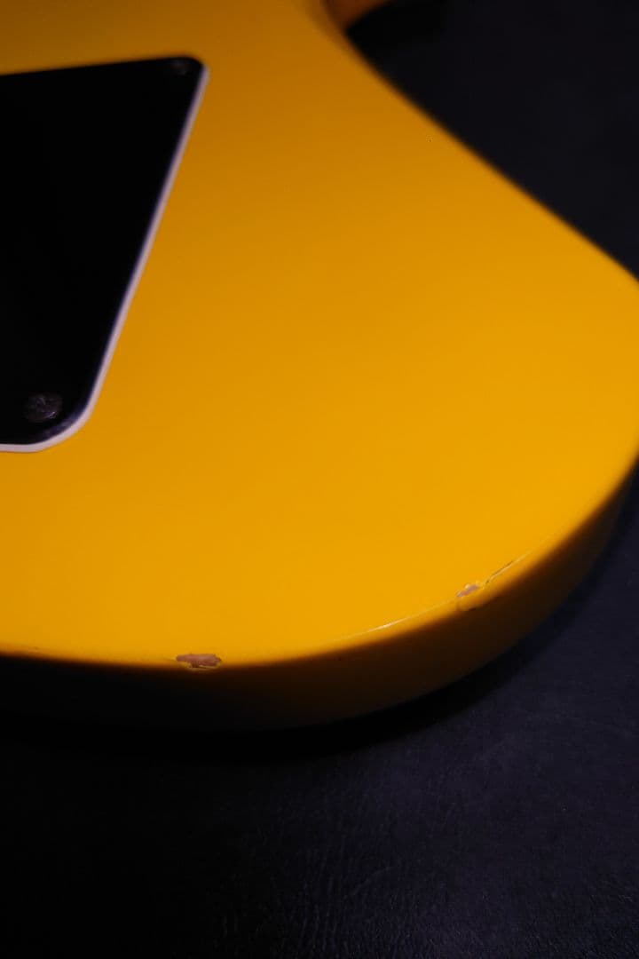 イエローハートJr　FERNANDES BURNY