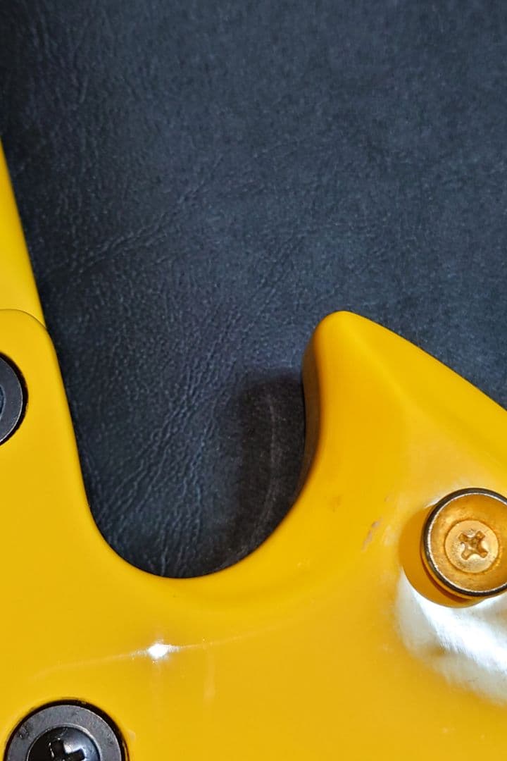 イエローハートJr　FERNANDES BURNY