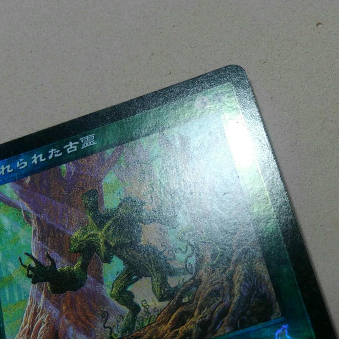 MTG 忘れられた古霊 Foil 初版 日本語