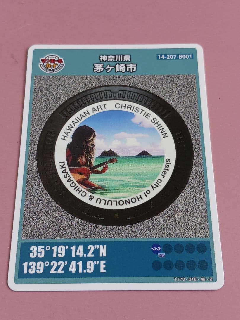 13点セット★道の駅湘南ちがさき記念きっぷ8種★マンホールカード2種★ピンズ他