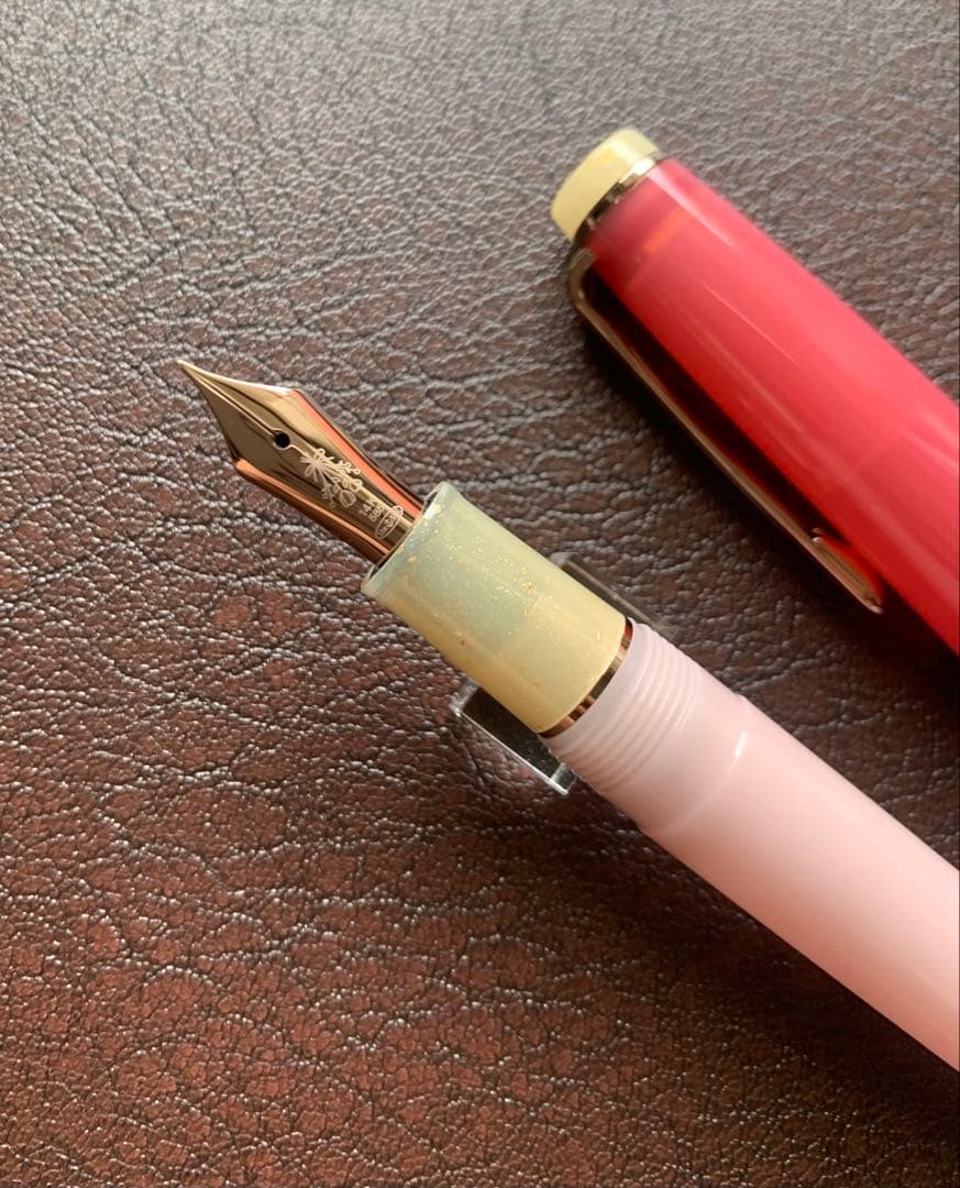 海外限定セーラー万年筆 プロギアスリム ドライフラワーシリーズ ピンクローズMF