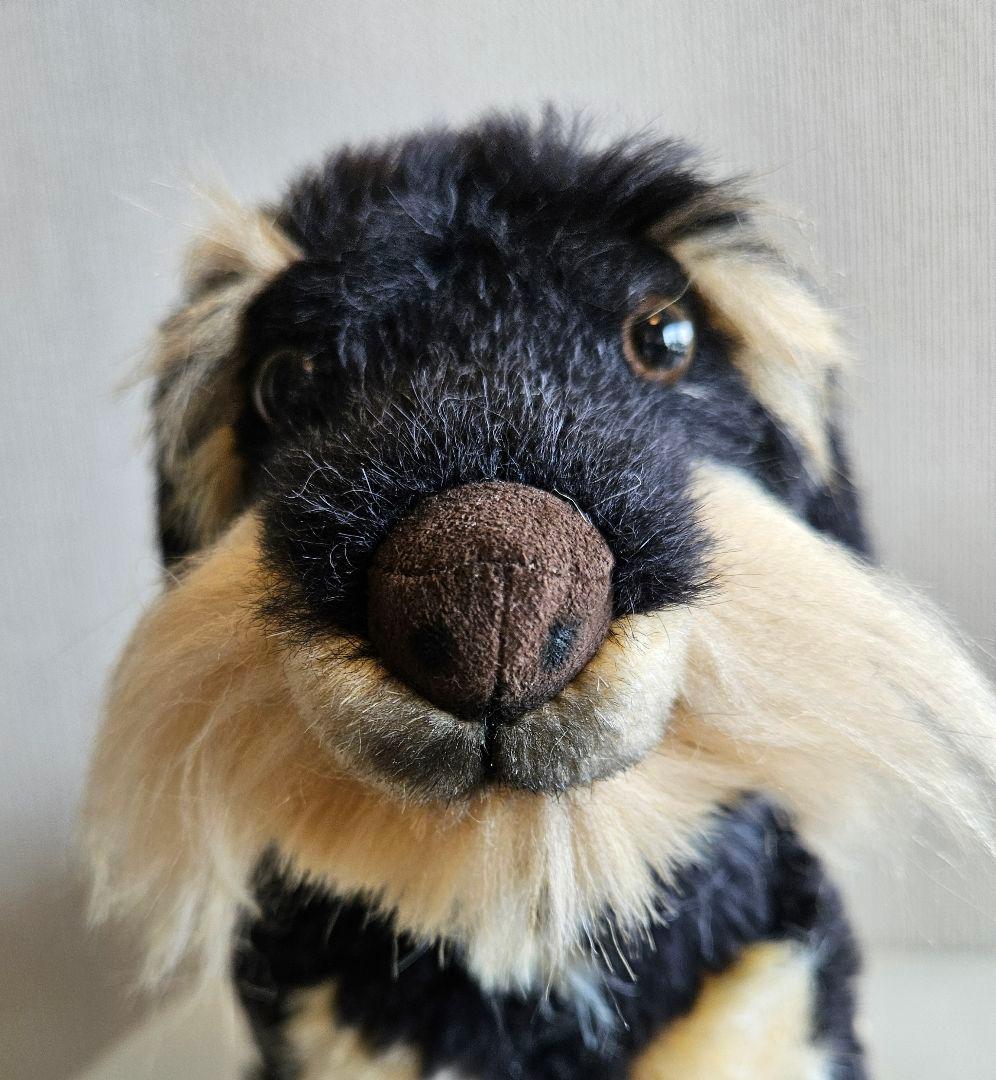 KOSEN ダックスフンド　モヘア　定価40,326円〜40,800円