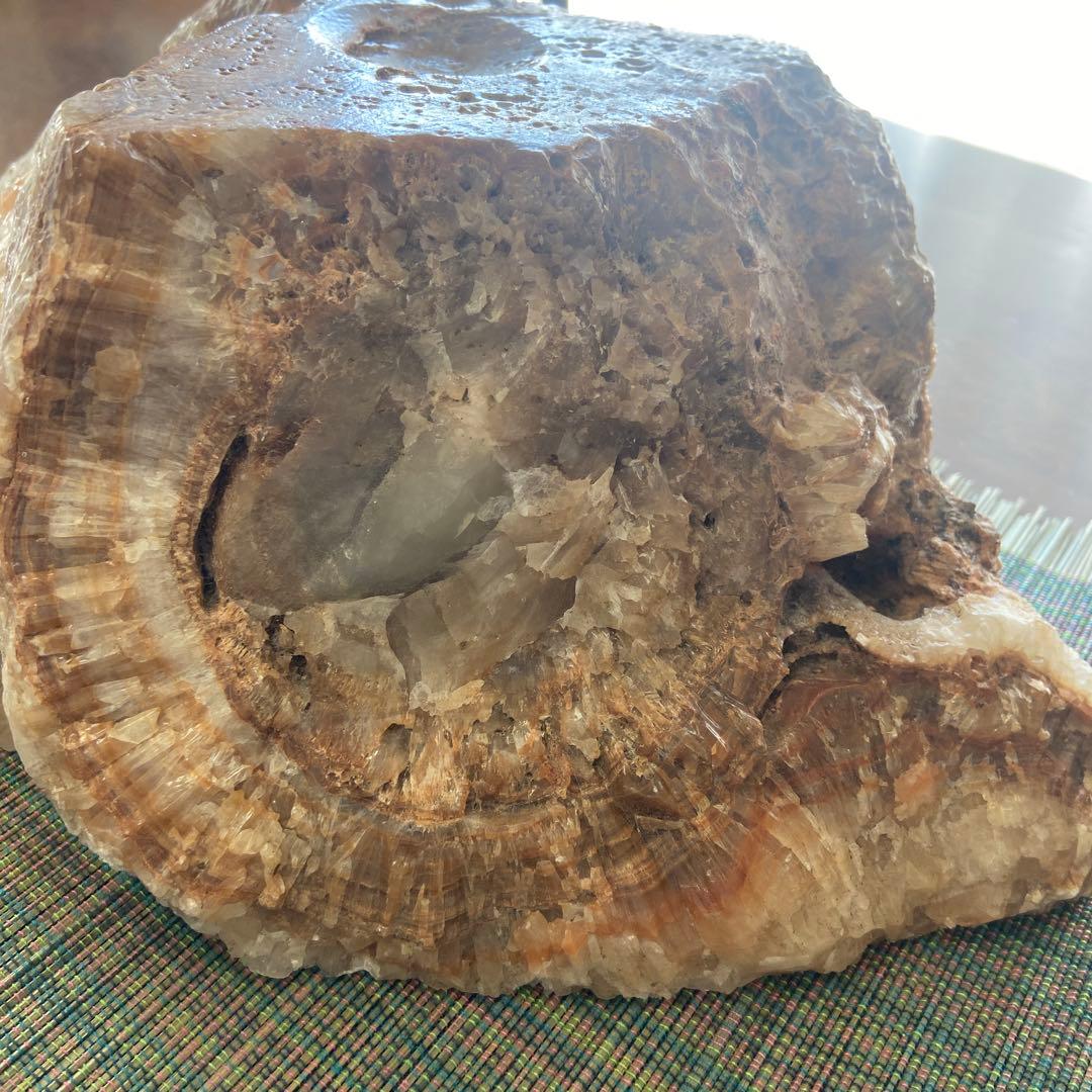 珪花石(化石木の自然石 )大きめ