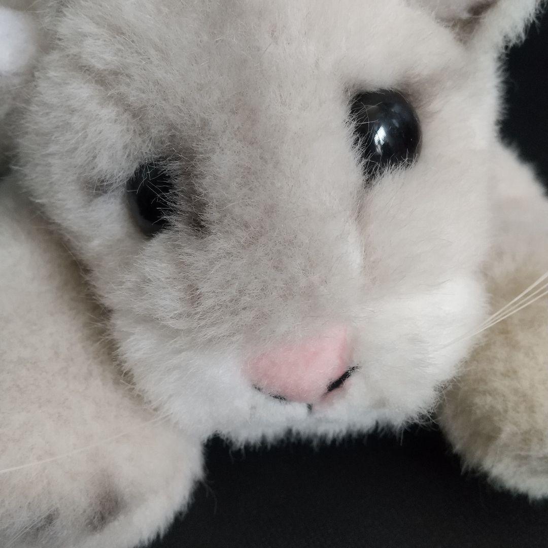 ヨシトクぬいぐるみ