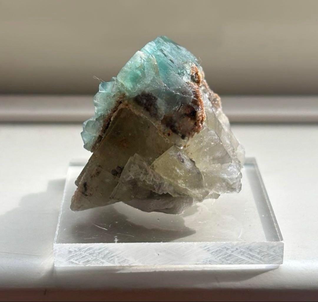 k*g様 レディアナベラ　toxic apple pocket フローライト　レ