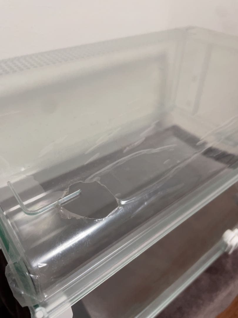 GEX グラスハーモニーマルチ600 小動物用ケージ