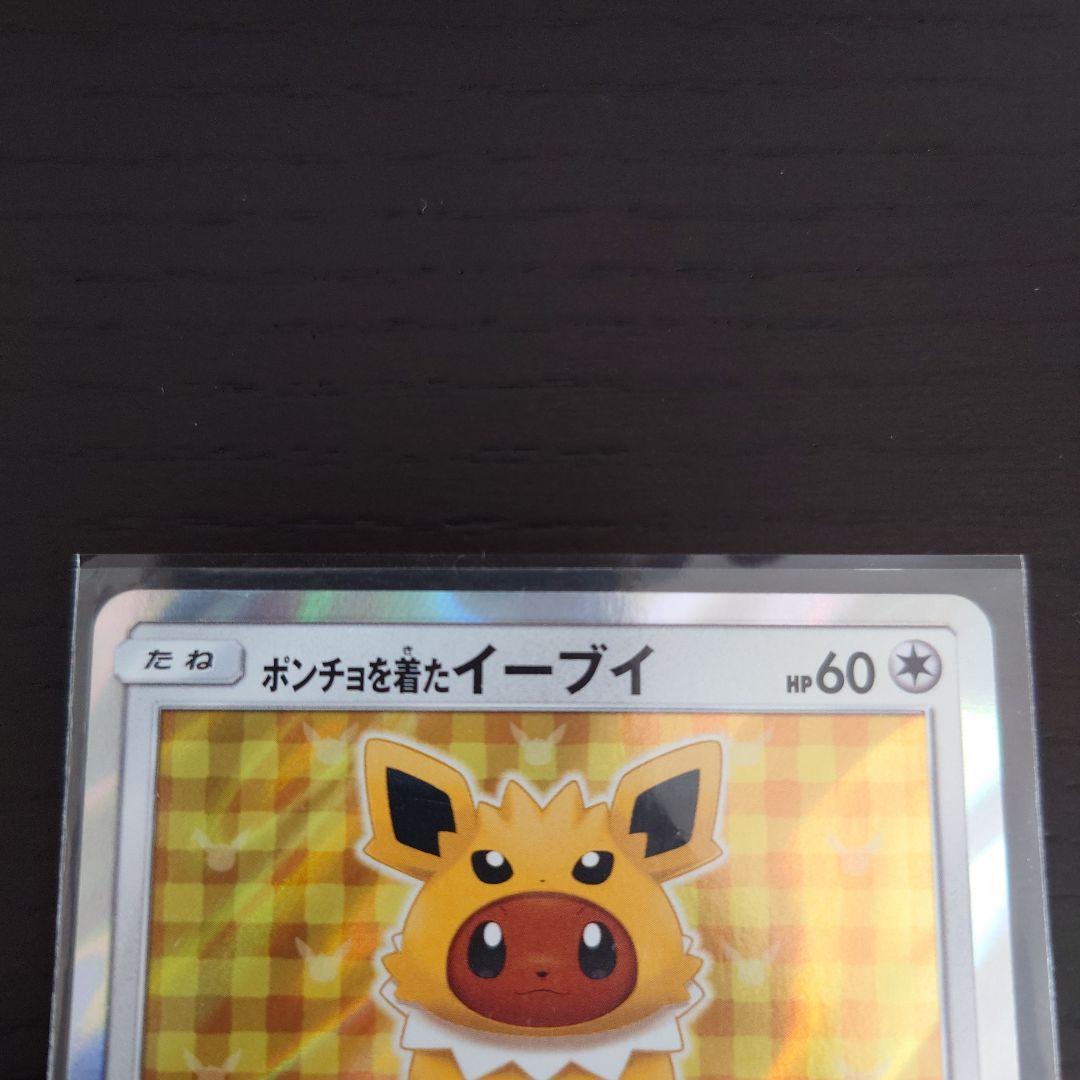 ポンチョを着たイーブイ サンダース