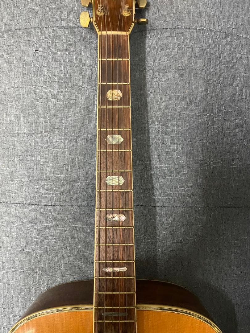 ❷Morris TF-801 アコースティックギター モーリス　楽器