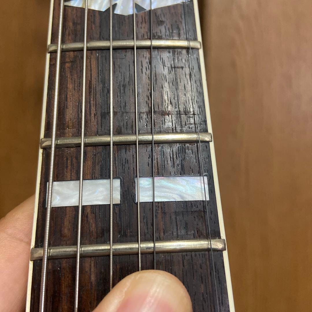 フルアコ 日本製　海外輸出モデル Epiphone NVJ-NT