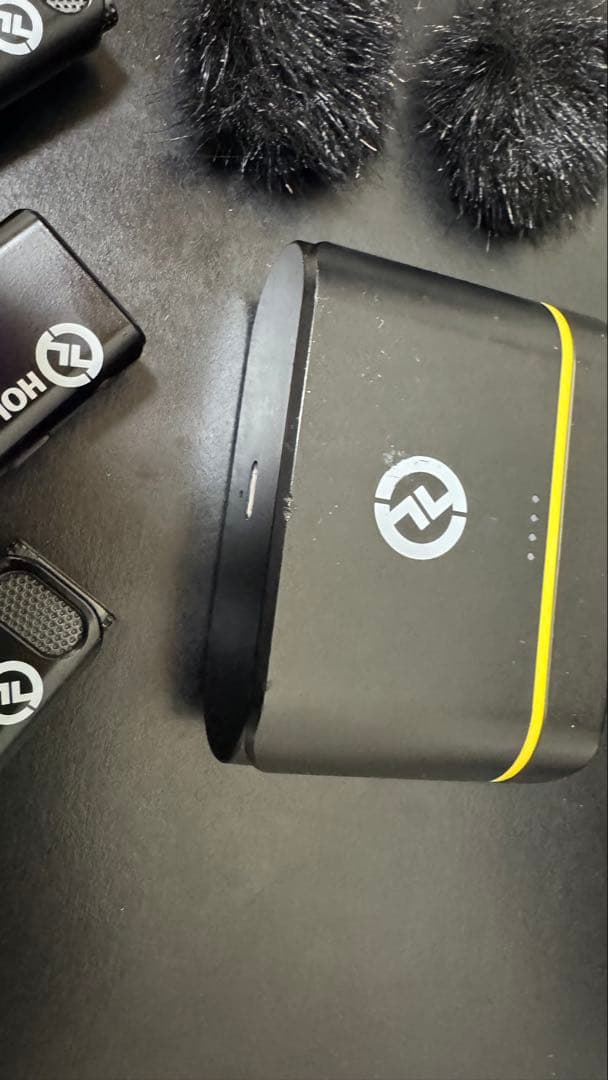 ホーリーランド マイク　タイプC