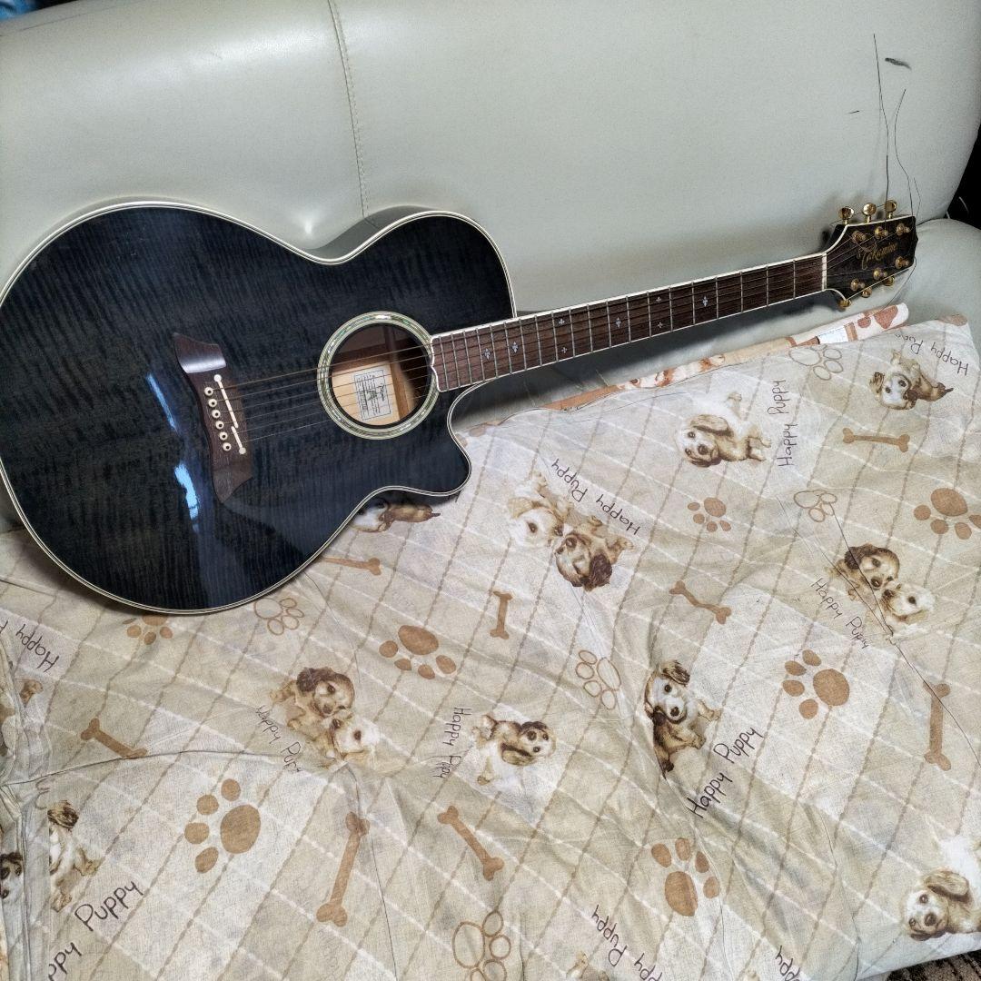 タカミネ　ＡＣＣＵＲ ＥＱ アコースティックギター　ケース付き