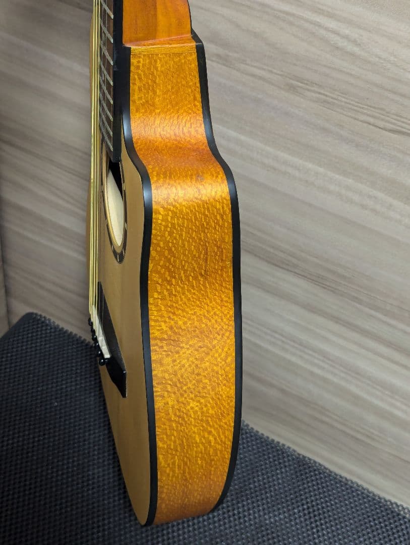 Traveler Guitar CS-10 ミニギター イングルマンスプルース