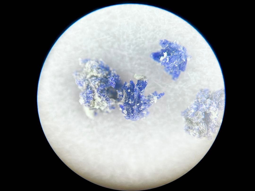 菊花状逸見石(TL) 布賀鉱山