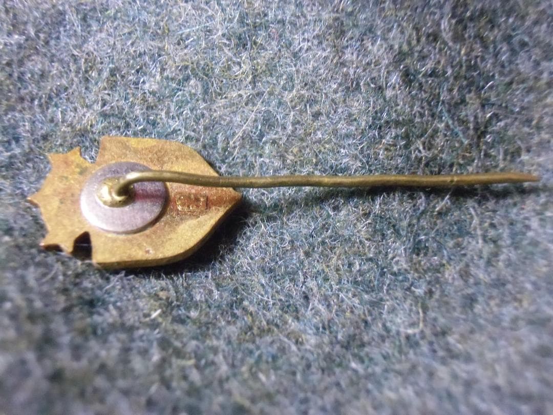 Ｌラトビア共和国軍＊国旗ピン（実物）