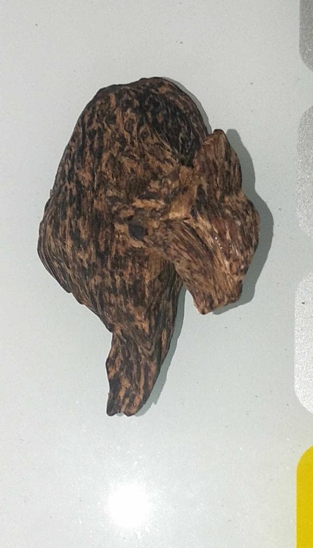 超貴重なベトナム産沈香9g !