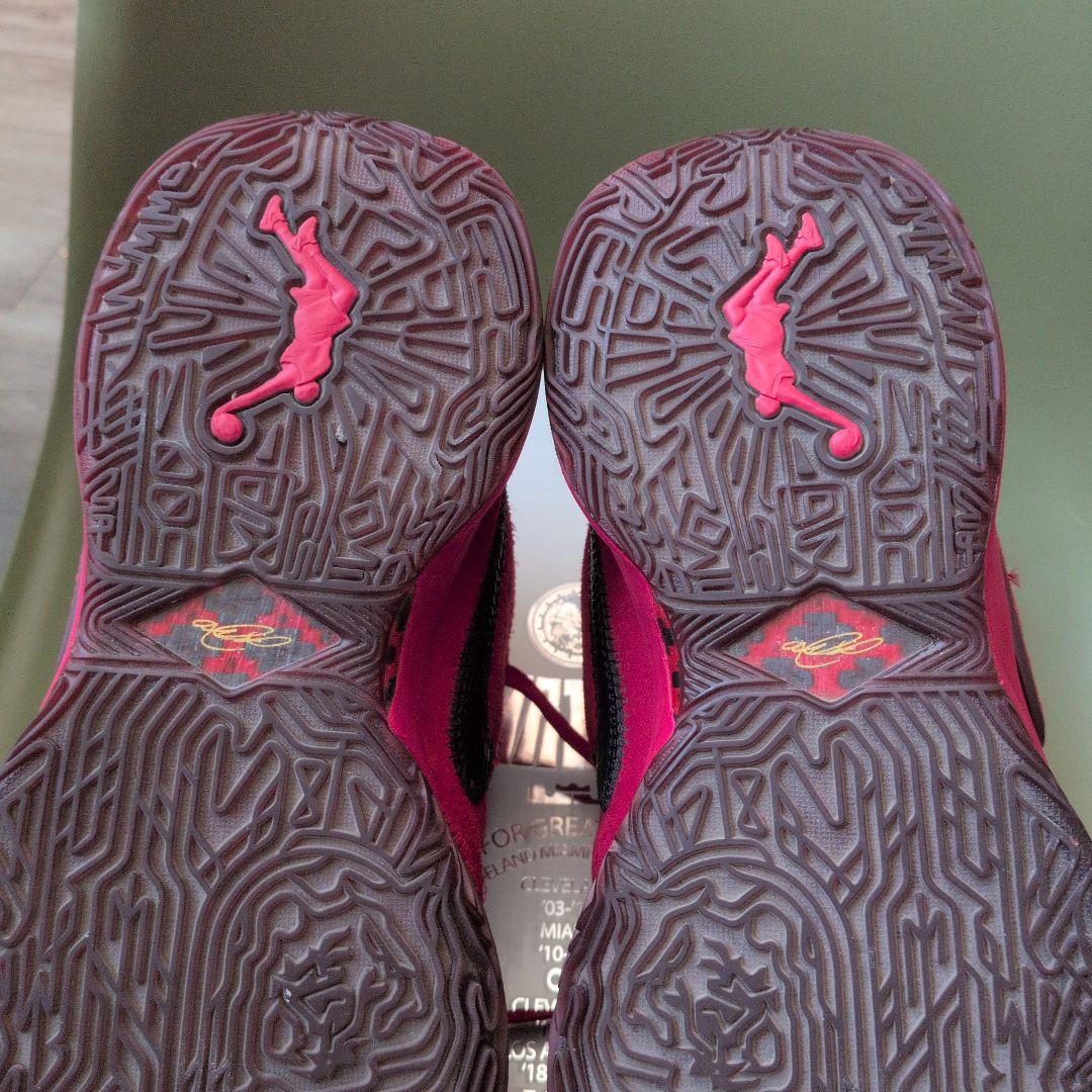 NIKE レブロン20リバプール 25cm