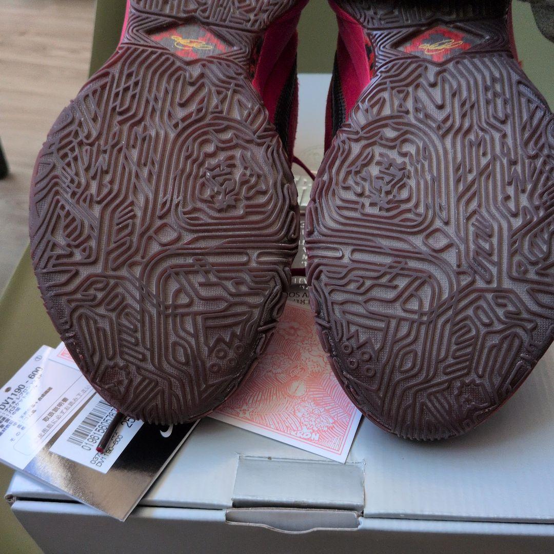 NIKE レブロン20リバプール 25cm