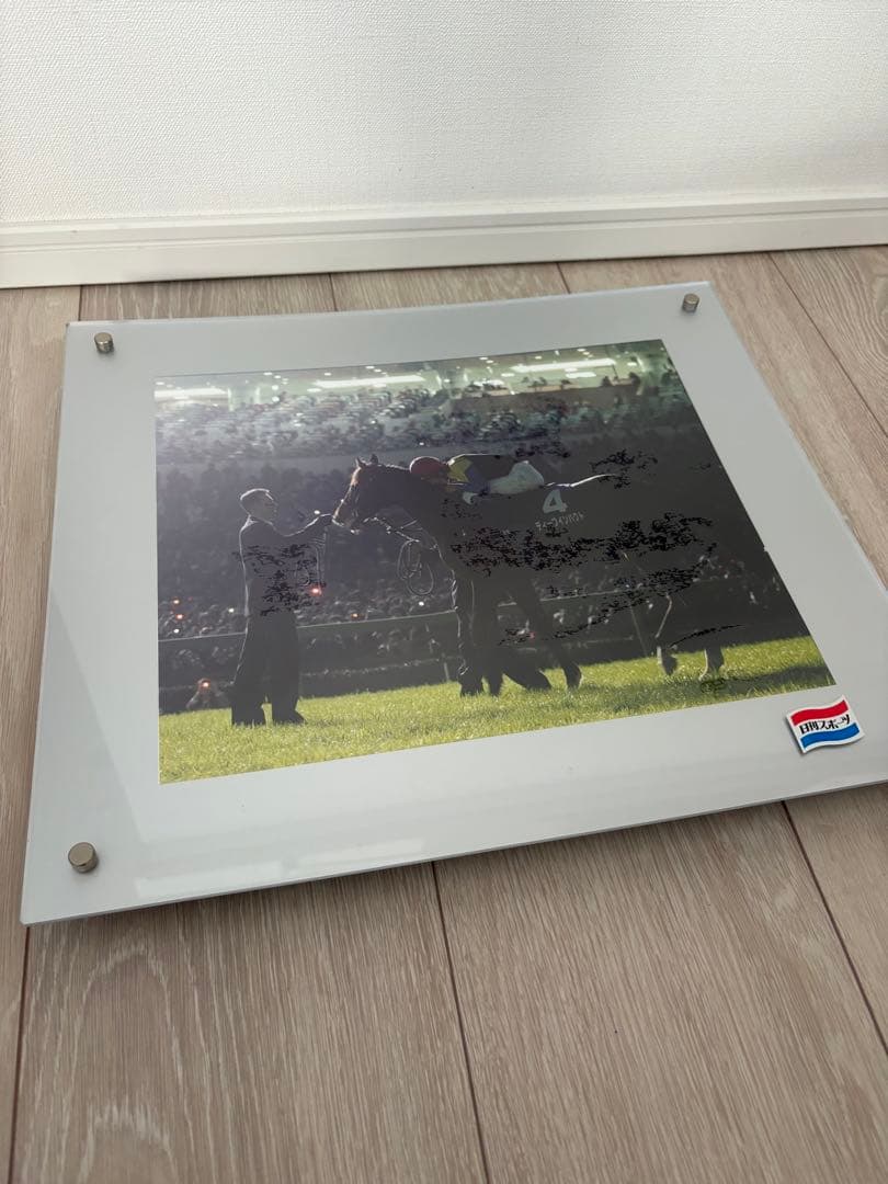 競馬　ディープインパクト　引退式　日刊スポーツ　パネル