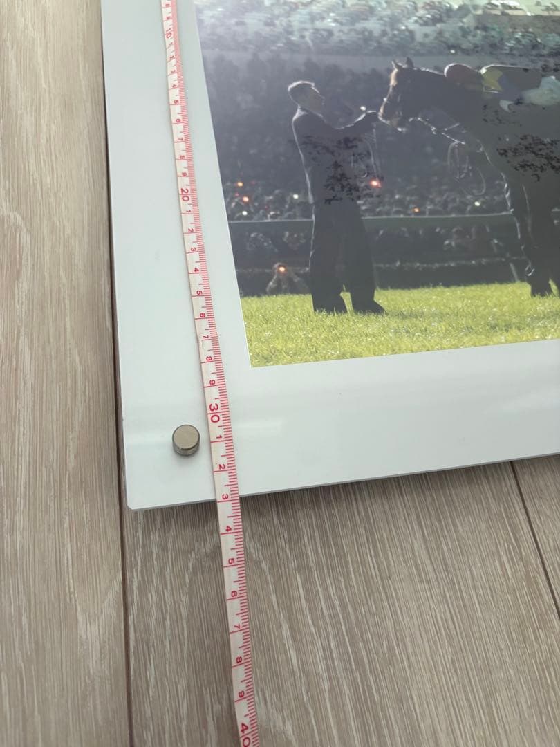 競馬　ディープインパクト　引退式　日刊スポーツ　パネル