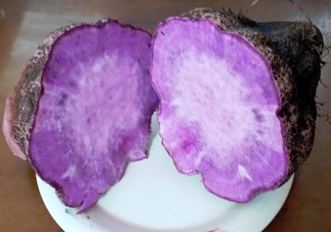 紫山芋(土付き)8kg