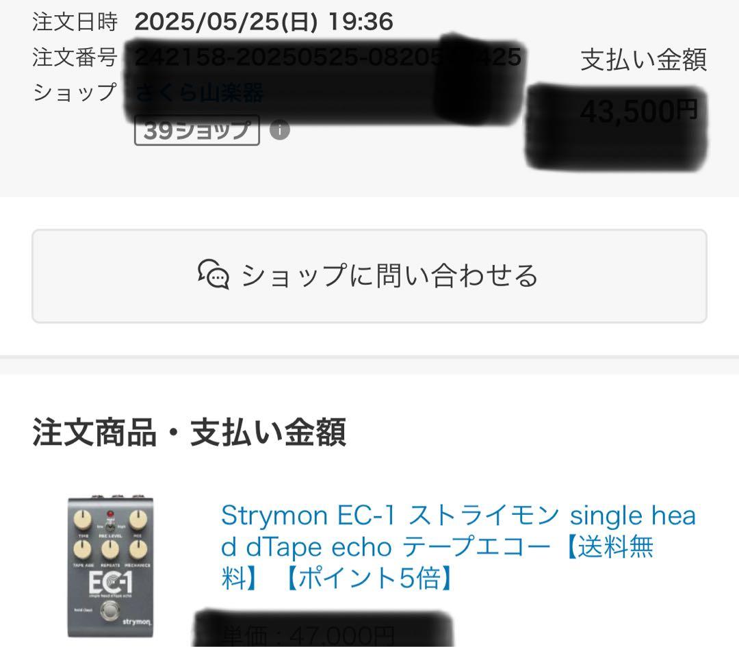 Strymon EC-1 EC1 ほぼ未使用美品