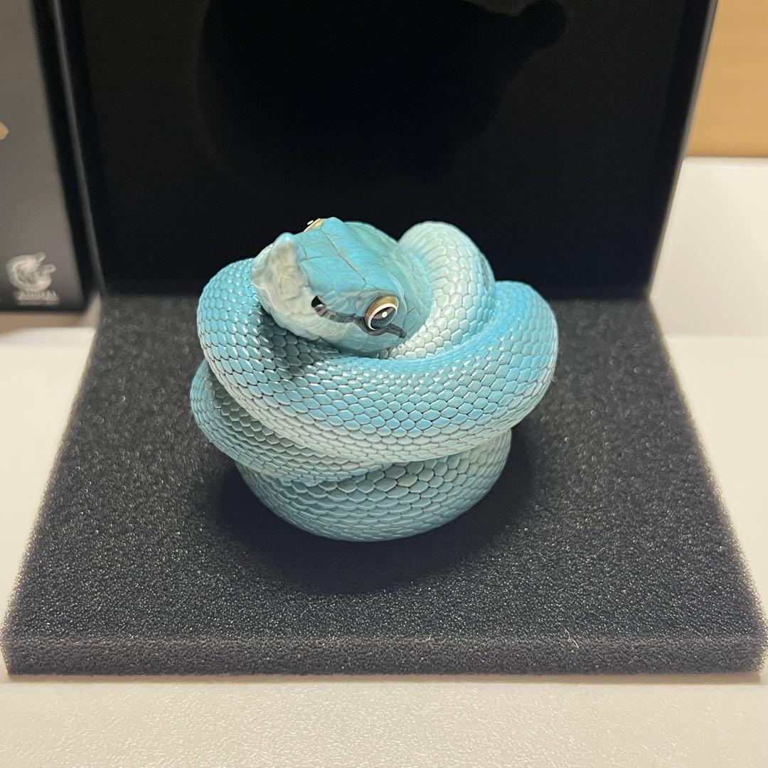 動物の惑星　レア　バロンコダマヘビ(ブルー)