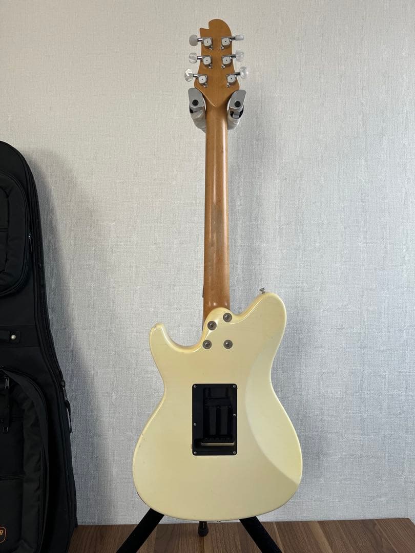 Sugi DS499 レリック仕様