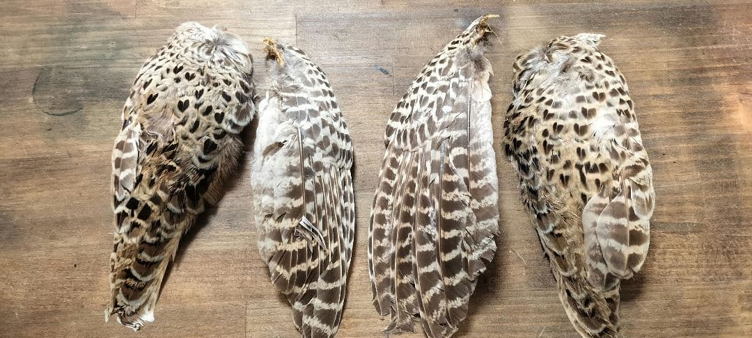 ​【高級】METZ メッツ ハックル 2種 ＆ フェザントウィング セット