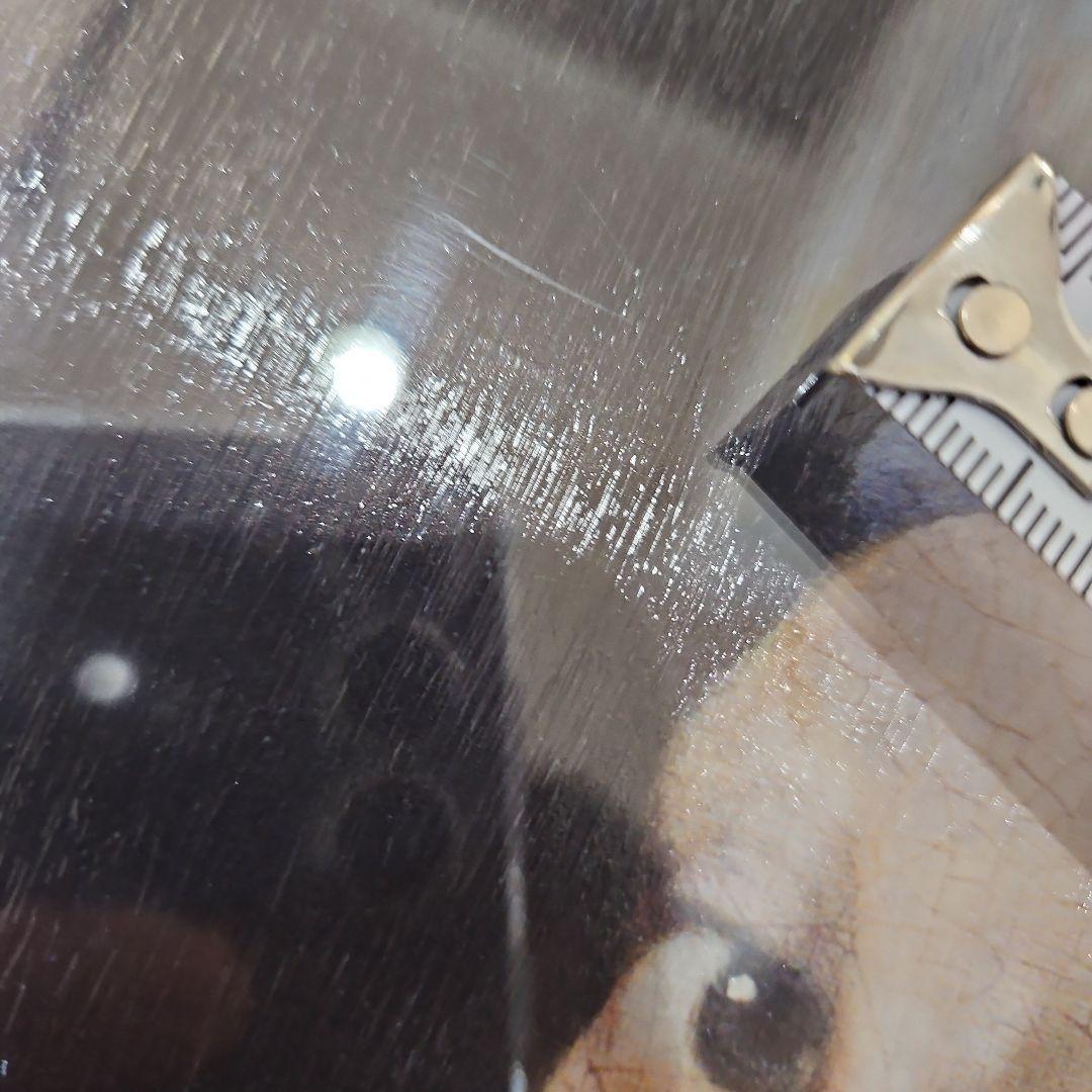 真珠の耳飾りの少女 バロック絵画 フェルメール複製画 外枠58x47.5cm