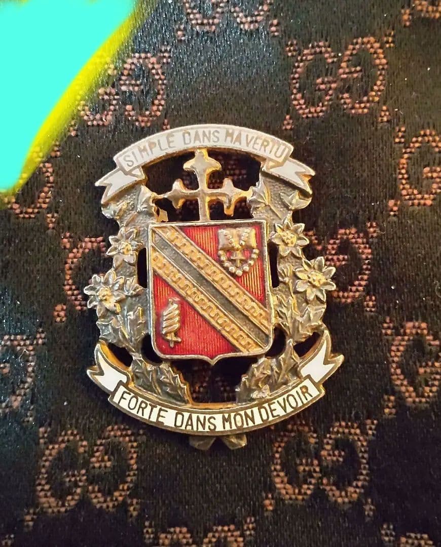 ✨！校章雙葉学園サブFBバッジ25周年記念バッジ