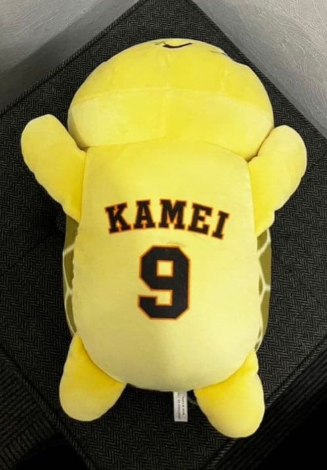 亀井善行　亀井義行　カメット　グッズ　まとめ売り　ジャイアンツ　巨人　５点セット