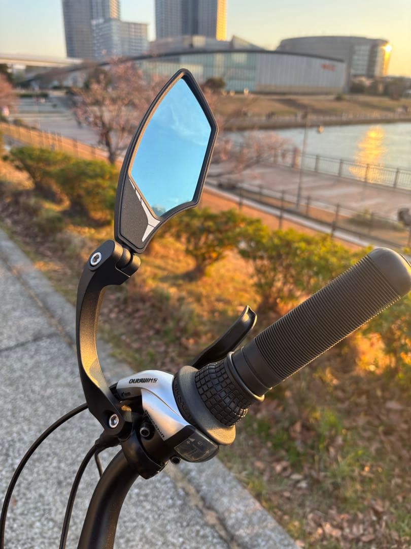 MATE X カスタム多数　電動アシスト　ブラック